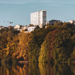 Planter des « forêts urbaines » de 3 à 5 hectares