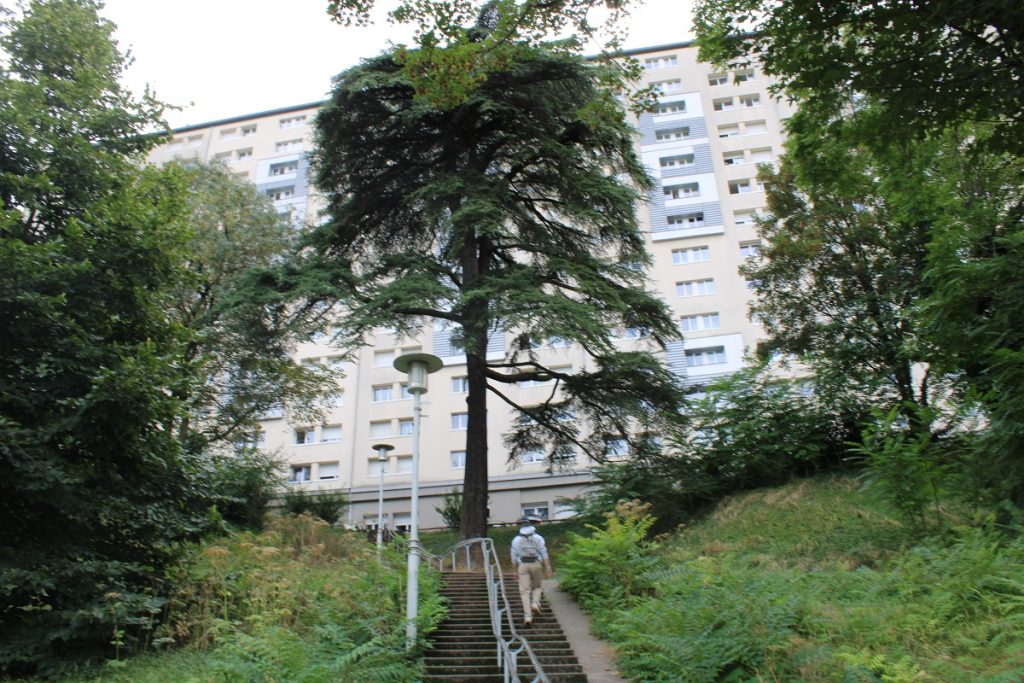 Dans le quartier « perdu » de La Vallonnière, la politique de la ville, incertaine bouée de sauvetage