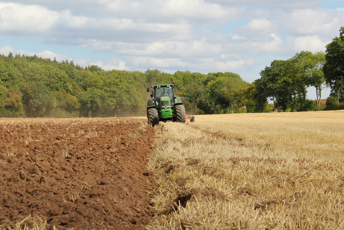 2024-11-Agriculture-RBell-Unsplash