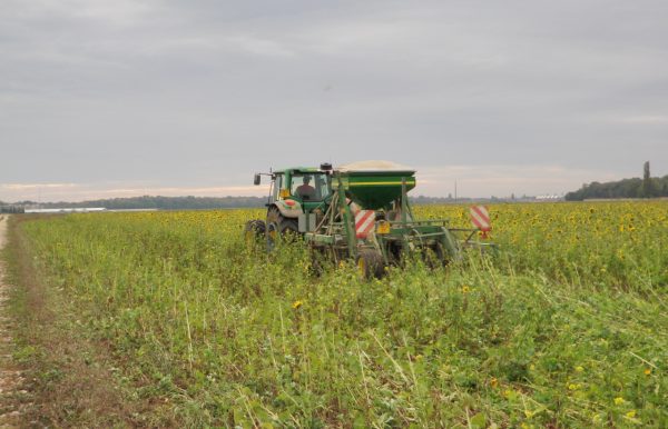 Agriculture : labourer moins pour gagner plus ?